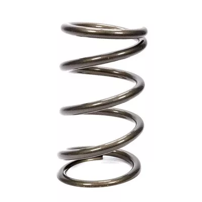 9.5in x 5inx 550# Platinum Front Spring