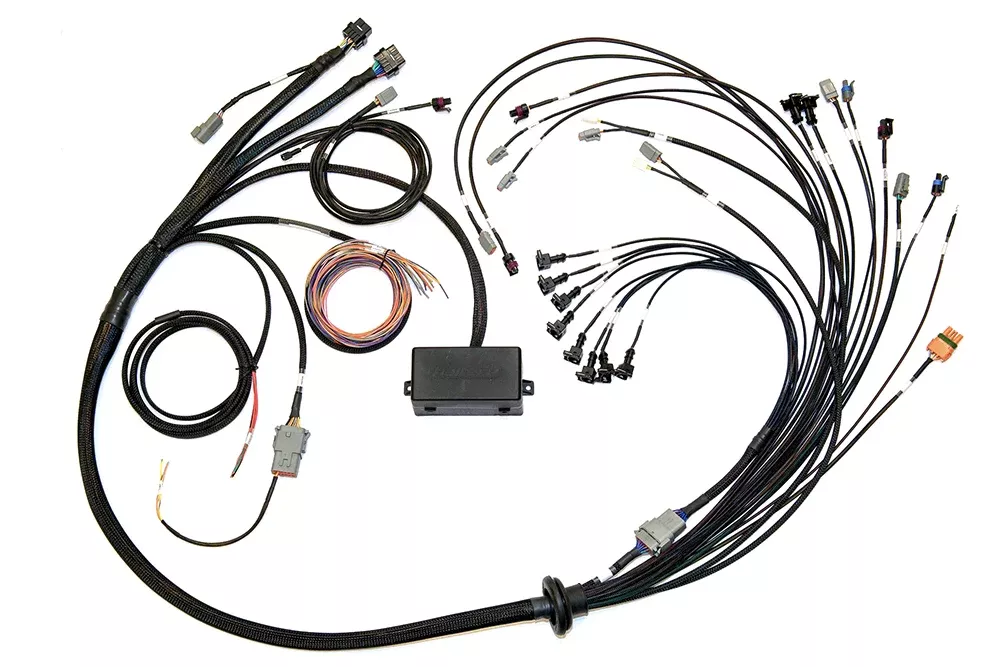 Elite 2000/2500EV1 Terminated Wire Harness