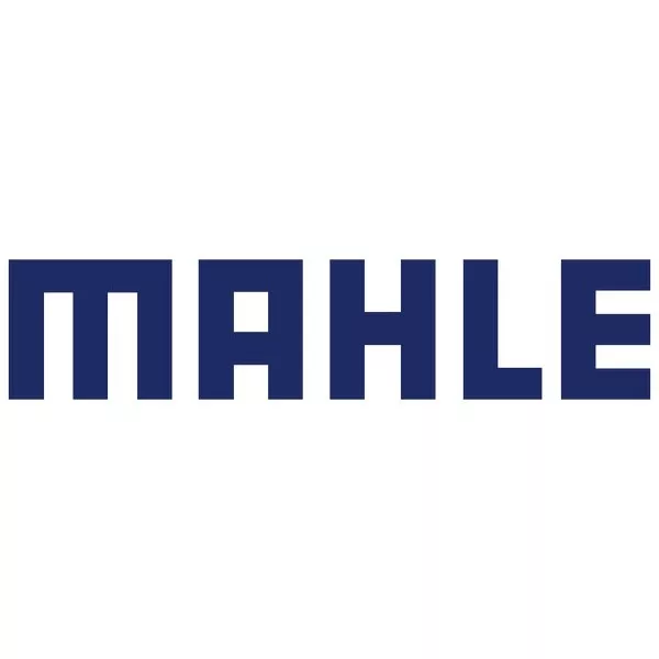 MAHLE 601-1713 Engine Oil Pump Screen
